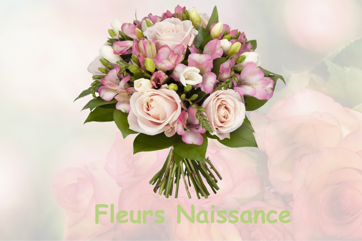 fleurs naissance SAINT-CHEF